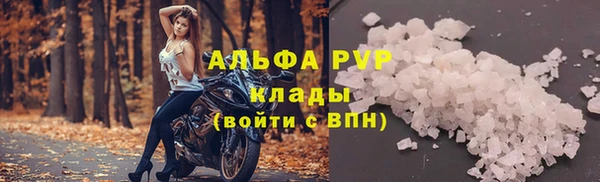 стафф Медногорск