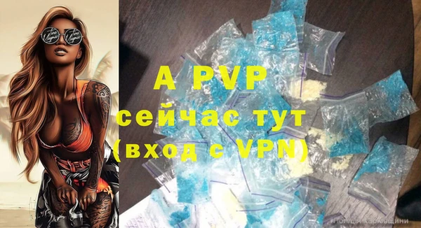 стафф Медногорск