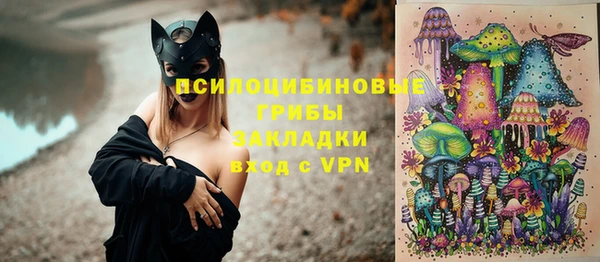 стафф Медногорск