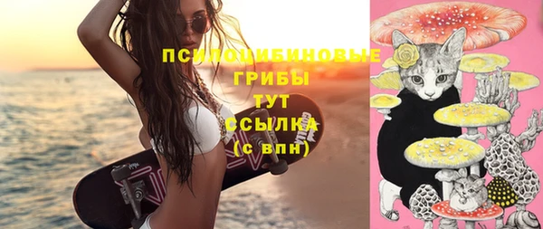apvp Медвежьегорск