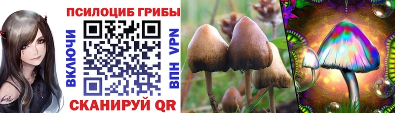 Псилоцибиновые грибы Psilocybe omg зеркало Эртиль